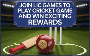 Play Cricket Game